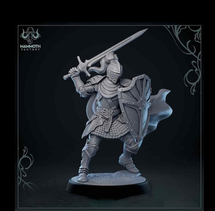 Human Paladin Fighter Sword &amp; Shield | Miniature | 28mm, 32mm, 54mm,75mm, 100mm Scales | Pathfinder Figure | DnD | Figurine unpainted |
