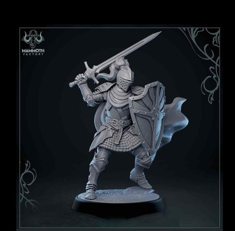 Human Paladin Fighter Sword & Shield | Miniature | 28mm, 32mm, 54mm,75mm, 100mm Scales | Pathfinder Figure | DnD | Figurine unpainted |