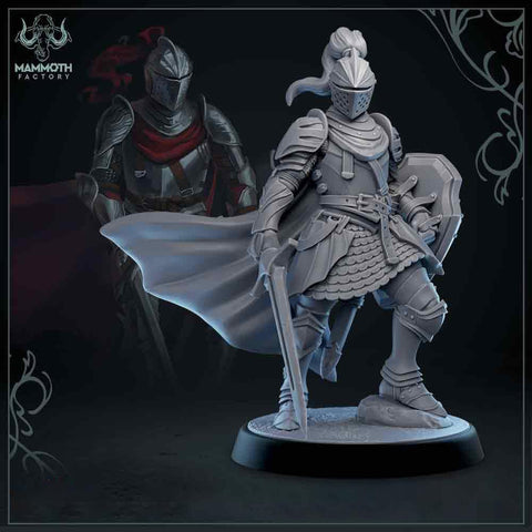 Human Paladin Fighter Sword & Shield | Miniature | 28mm, 32mm, 54mm,75mm, 100mm Scales | Pathfinder Figure | DnD | Figurine unpainted |