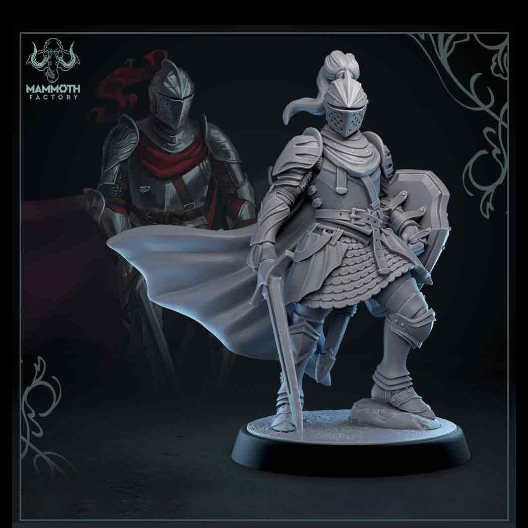 Human Paladin Fighter Sword &amp; Shield | Miniature | 28mm, 32mm, 54mm,75mm, 100mm Scales | Pathfinder Figure | DnD | Figurine unpainted |