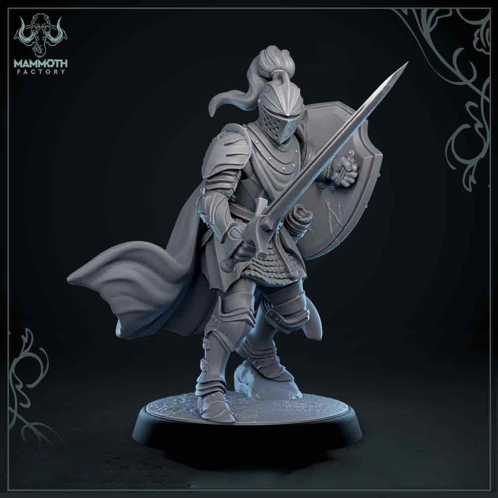 Human Paladin Fighter Sword &amp; Shield | Miniature | 28mm, 32mm, 54mm,75mm, 100mm Scales | Pathfinder Figure | DnD | Figurine unpainted |