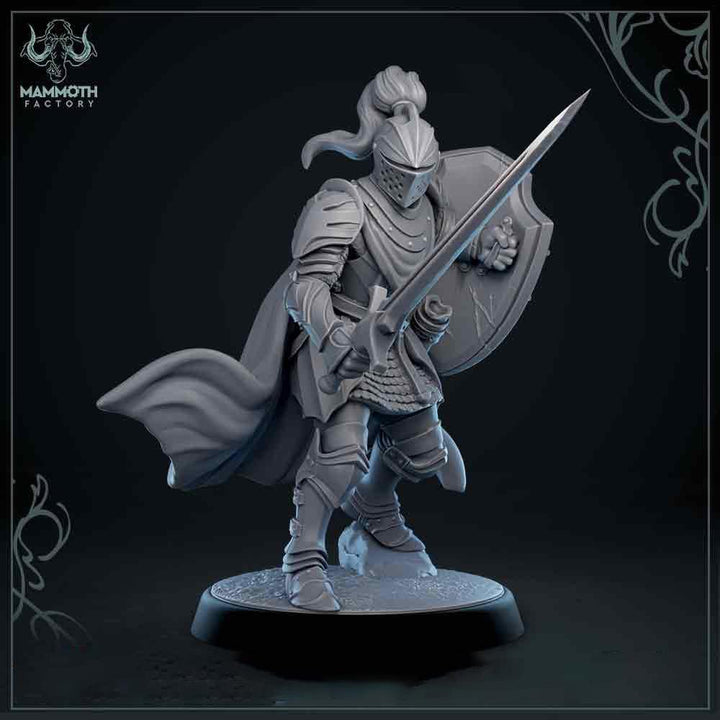 Human Paladin Fighter Sword &amp; Shield | Miniature | 28mm, 32mm, 54mm,75mm, 100mm Scales | Pathfinder Figure | DnD | Figurine unpainted |