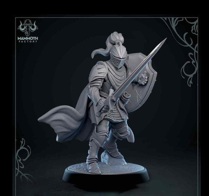 Human Paladin Fighter Sword &amp; Shield | Miniature | 28mm, 32mm, 54mm,75mm, 100mm Scales | Pathfinder Figure | DnD | Figurine unpainted |