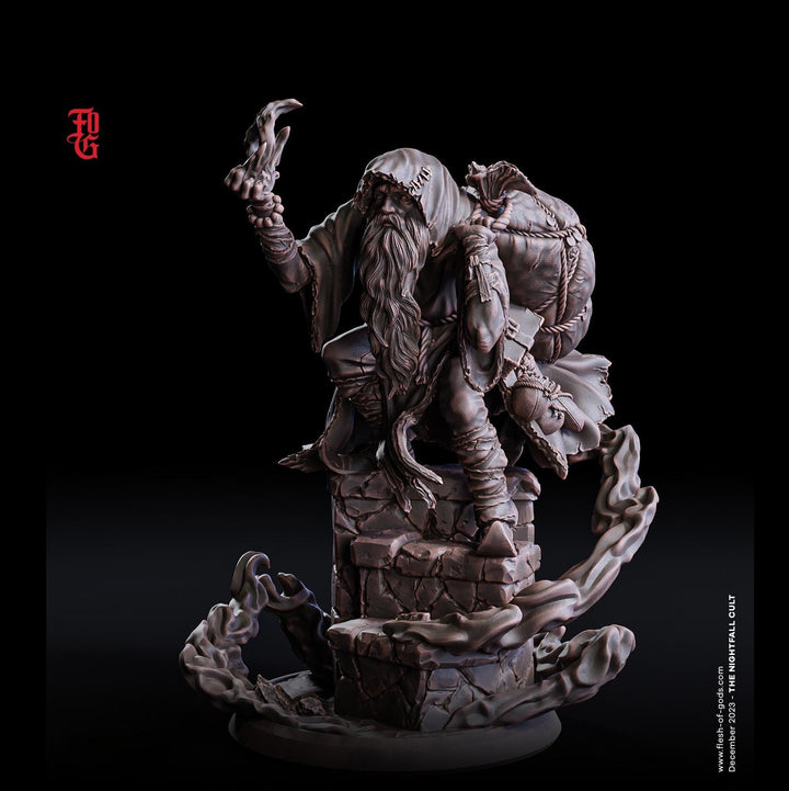 Adventurer Wizard, Warlock, Sorcerer | 28mm | 32mm /54mm | 75mm /100mm Scale - Player Character Mini - D&amp;D 5e - Pathfinder Figurine FOG