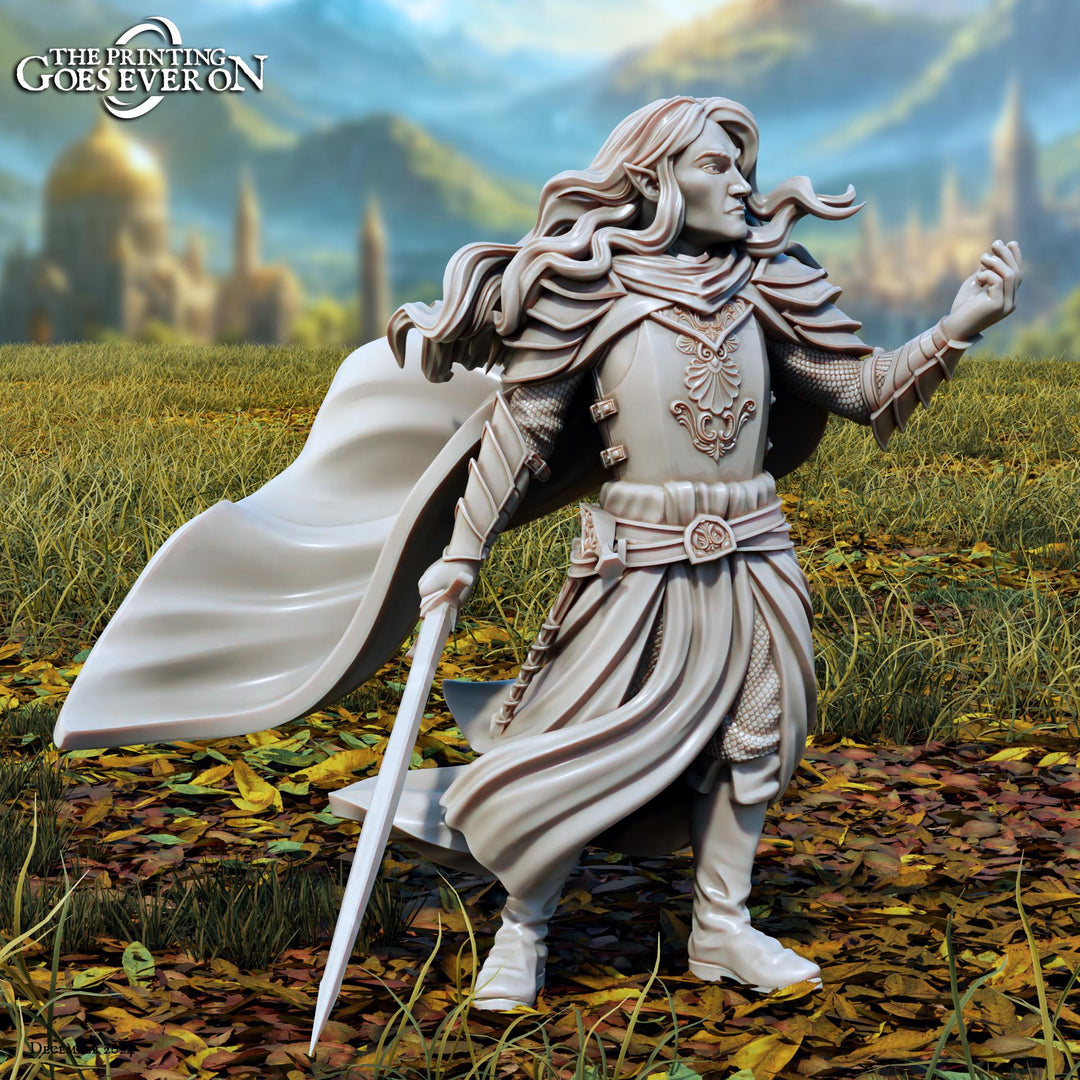Elf Fighter Eldritch Knight, Paladin | Unpainted Miniature | 28mm, 32mm,54mm,75mm, 100mm Scales | Pathfinder Figure | DnD | RPG Figurine |