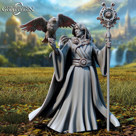 Wizard with Eagle Familiar PC / NPC | Unpainted Miniature | 28mm, 32mm,54mm,75mm, 100mm Scales | Pathfinder Figure | DnD | RPG Figurine |