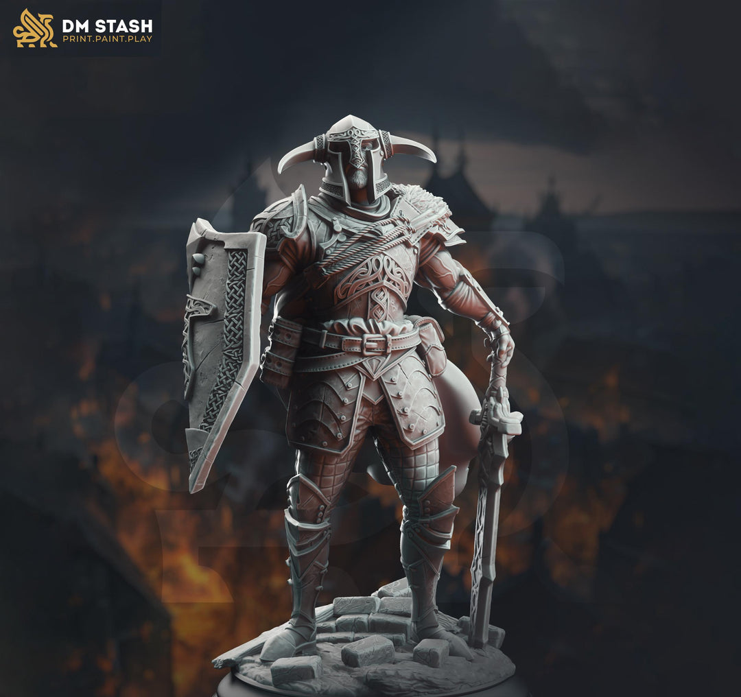 Human Paladin Fighter Sword & Shield | Miniature | 28mm, 32mm, 54mm,75mm, 100mm Scales | Pathfinder Figure | DnD | Figurine unpainted |