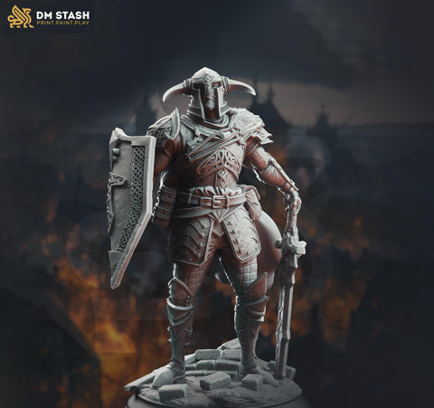 Human Paladin Fighter Sword & Shield | Miniature | 28mm, 32mm, 54mm,75mm, 100mm Scales | Pathfinder Figure | DnD | Figurine unpainted |