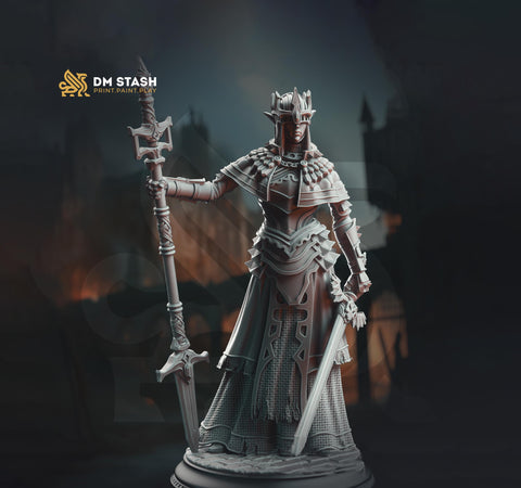 Female Paladin, Fighter Battlemaster, Cleric D&D 5e Mini | 28mm, 32mm,54mm,75mm,100mm Scales | Dungeons and Dragons Pathfinder | DM Stash