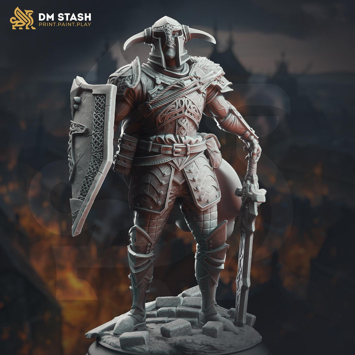 Human Paladin Fighter Sword &amp; Shield | Miniature | 28mm, 32mm, 54mm,75mm, 100mm Scales | Pathfinder Figure | DnD | Figurine unpainted |