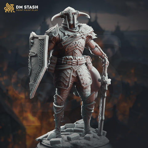 Human Paladin Fighter Sword & Shield | Miniature | 28mm, 32mm, 54mm,75mm, 100mm Scales | Pathfinder Figure | DnD | Figurine unpainted |
