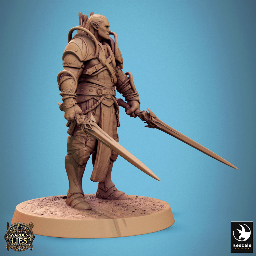 Elf Paladin, Fighter,Soldier Dual Swords, DnD 5e Unpainted Miniature| 28mm, 32mm,54mm,75mm,100mm Scales | Dungeons &amp; Dragons | Pathfinder