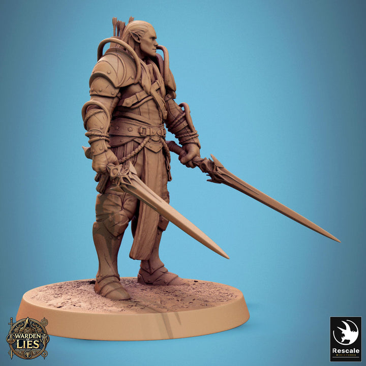 Elf Paladin, Fighter,Soldier Dual Swords, DnD 5e Unpainted Miniature| 28mm, 32mm,54mm,75mm,100mm Scales | Dungeons &amp; Dragons | Pathfinder