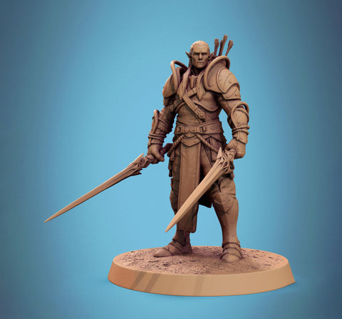 Elf Paladin, Fighter,Soldier Dual Swords, DnD 5e Unpainted Miniature| 28mm, 32mm,54mm,75mm,100mm Scales | Dungeons & Dragons | Pathfinder