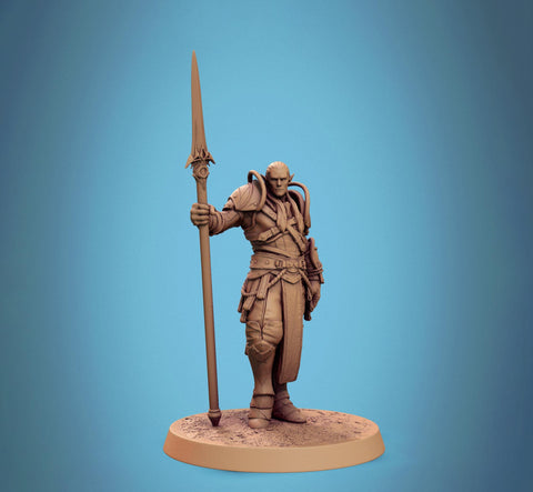 Elf Ranger, Paladin, Fighter,Polearm Master, DnD 5e Unpainted Miniature| 28mm, 32mm,54mm,75mm,100mm Scales | Dungeons & Dragons | Pathfinder