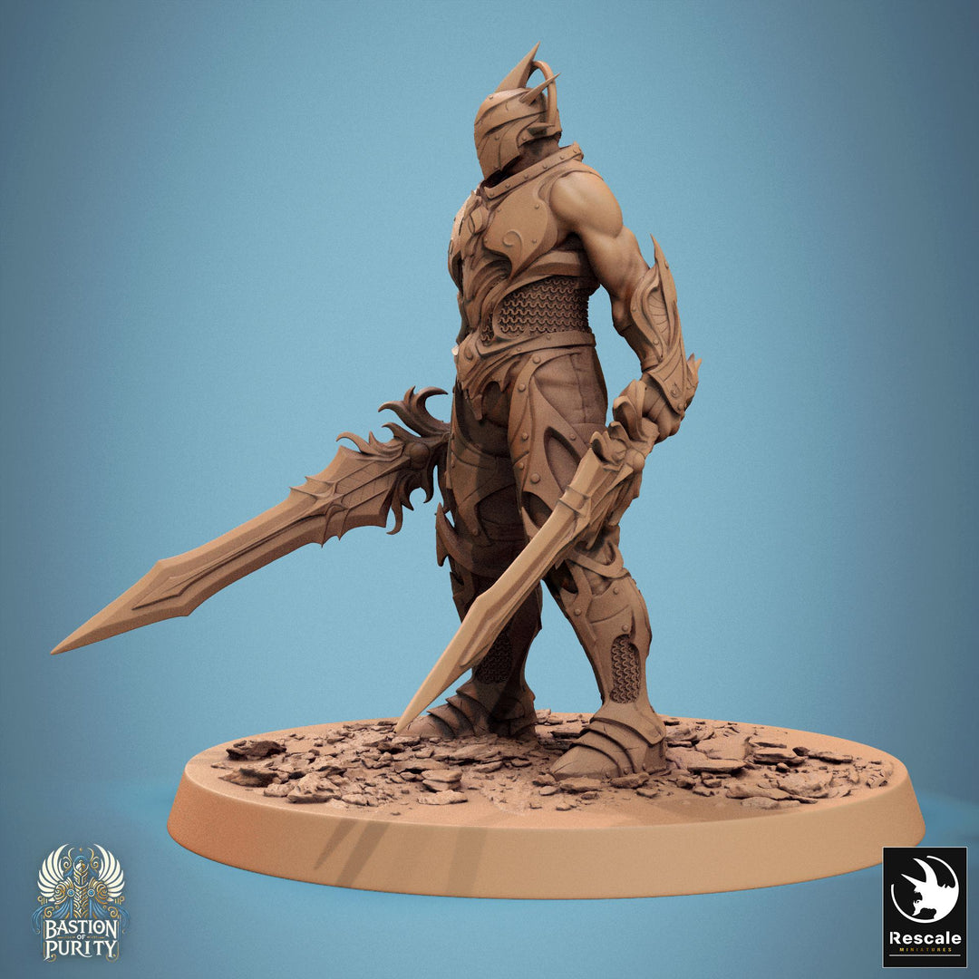Human Paladin, Fighter Helm or No Helm, 2 Swords PC / NPC, DnD 5e Unpainted Mini| 28mm, 32mm,54mm,75mm,100mm Scales |Dungeons &amp; Dragons
