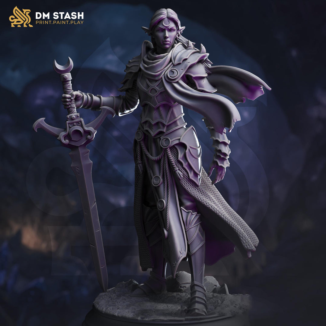 Female Elf Paladin, Fighter Sword and Plate Armor D&amp;D 5e Mini | 28mm,32mm,54mm,75mm,100mm Scales | Dungeons and Dragons Pathfinder |DM Stash
