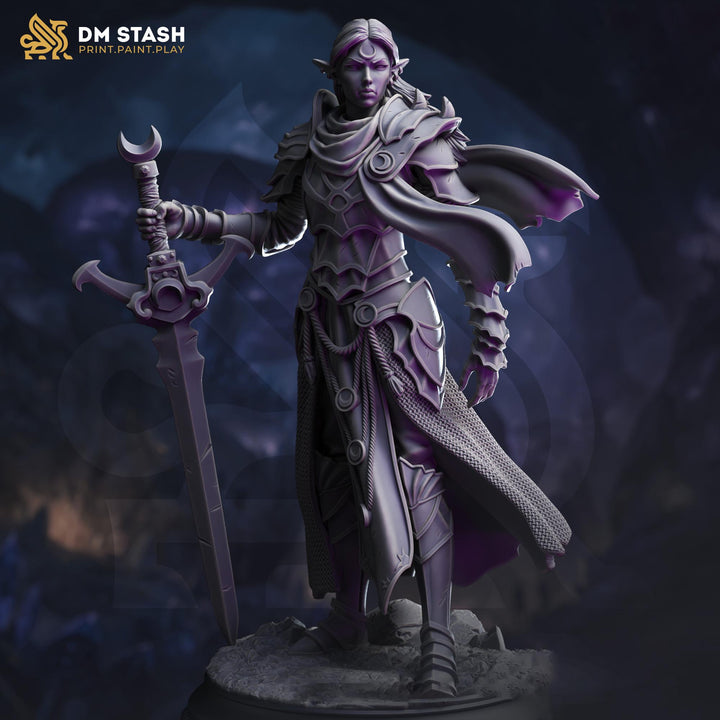 Female Elf Paladin, Fighter Sword and Plate Armor D&amp;D 5e Mini | 28mm,32mm,54mm,75mm,100mm Scales | Dungeons and Dragons Pathfinder |DM Stash