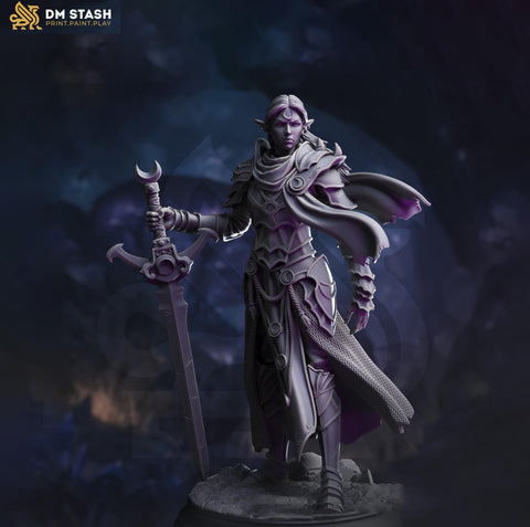 Female Elf Paladin, Fighter Sword and Plate Armor D&D 5e Mini | 28mm,32mm,54mm,75mm,100mm Scales | Dungeons and Dragons Pathfinder |DM Stash