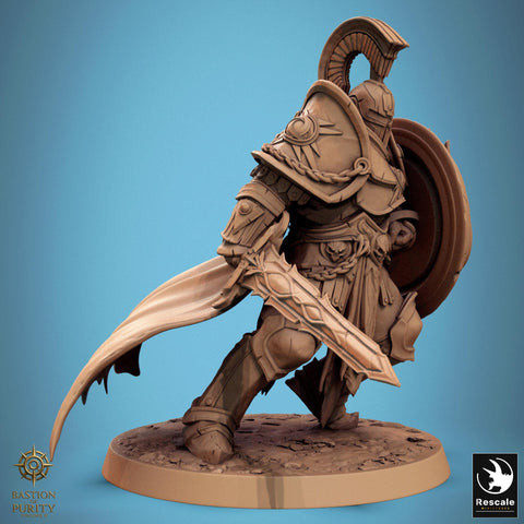 Paladin, Fighter, Sword n Shield PC/ NPC, DnD 5e Unpainted Miniature| 28mm, 32mm,54mm,75mm,100mm Scales | Dungeons & Dragons | Pathfinder