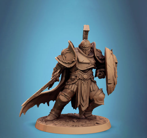 Paladin, Fighter, Sword n Shield PC/ NPC, DnD 5e Unpainted Miniature| 28mm, 32mm,54mm,75mm,100mm Scales | Dungeons & Dragons | Pathfinder