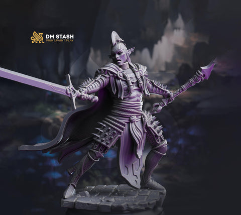 Elf Fighter, Eldritch Knight, Rogue, Dark Elf, Drow PC NPC D&D | 28mm, 32mm,54mm,75mm,100mm Scales | Dungeons and Dragons 5e, Pathfinder
