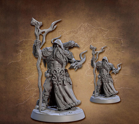 Viking Druid, Wizard, Merlin Shaman PC / NPC / Fighter | 5 Sizes /Scale Resin Mini | D&D Pathfinder