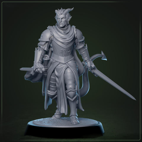 Tiefling Paladin Fighter Ranger PC / NPC | 5 Sizes /Scales | Player Character Mini -DnD Pathfinder