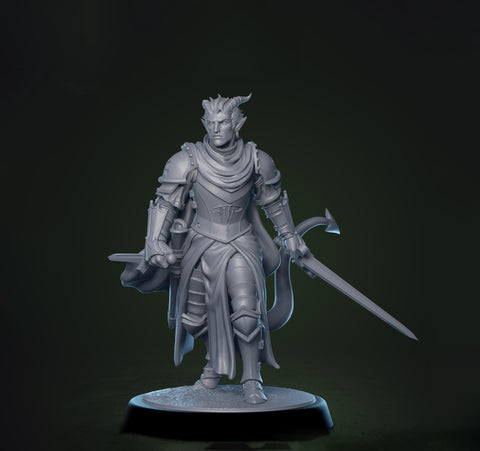 Tiefling Paladin Fighter Ranger PC / NPC | 5 Sizes /Scales | Player Character Mini -DnD Pathfinder