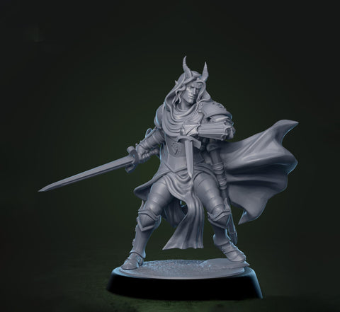 Tiefling Paladin Fighter Ranger PC / NPC | 5 Sizes /Scales | Player Character Mini -DnD Pathfinder