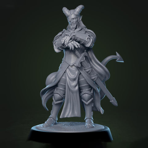 Tiefling Paladin Fighter Ranger PC / NPC | 5 Sizes /Scales | Player Character Mini -DnD Pathfinder