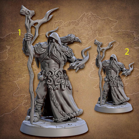 Viking Druid, Wizard, Merlin Shaman PC / NPC / Fighter | 5 Sizes /Scale Resin Mini | D&D Pathfinder