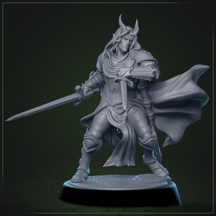 Tiefling Paladin Fighter Ranger PC / NPC | 5 Sizes /Scales | Player Character Mini -DnD Pathfinder