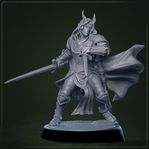 Tiefling Paladin Fighter Ranger PC / NPC | 5 Sizes /Scales | Player Character Mini -DnD Pathfinder