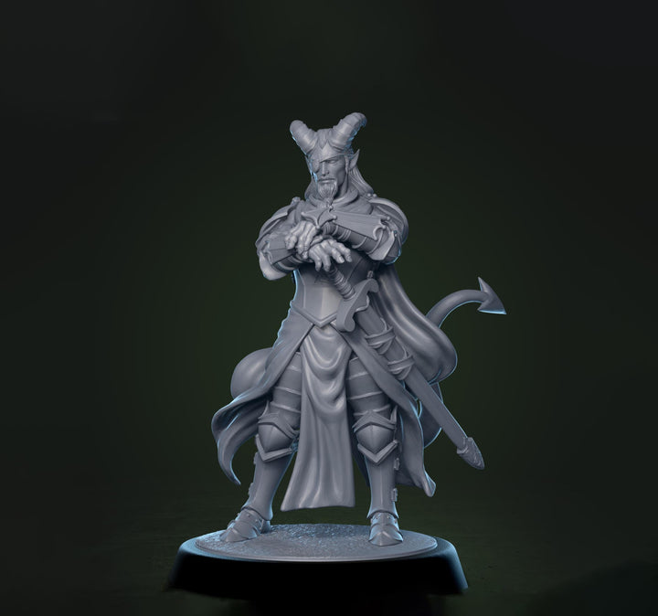 Tiefling Paladin Fighter Ranger PC / NPC | 5 Sizes /Scales | Player Character Mini -DnD Pathfinder