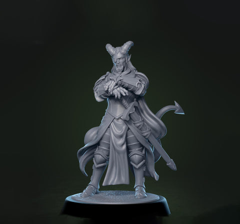 Tiefling Paladin Fighter Ranger PC / NPC | 5 Sizes /Scales | Player Character Mini -DnD Pathfinder