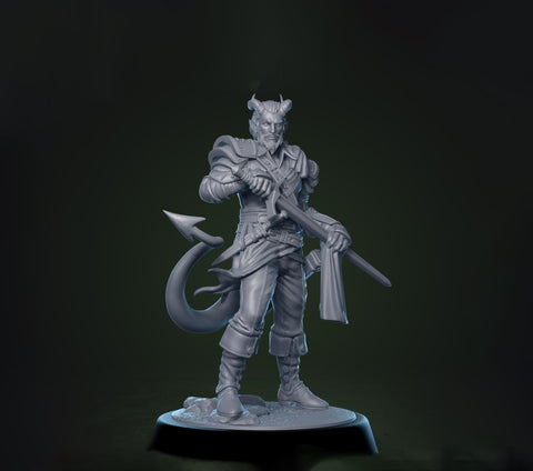 Tiefling Fighter Swashbuckler Rogue PC / NPC | 5 Sizes /Scales | D&D 5e Pathfinder