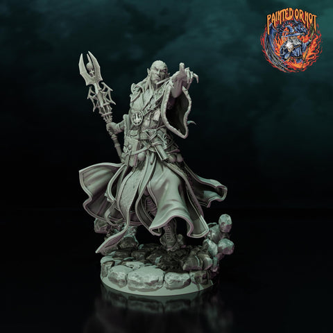Elf Wizard, Archmage PC NPC, Paintedornot Original Design Unpainted Mini | 5 Sizes /Scales