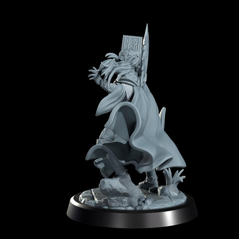 Female Cleric Light Domain, Paladin Miniature | 5 Sizes /Scales | Dungeons and Dragons Pathfinder