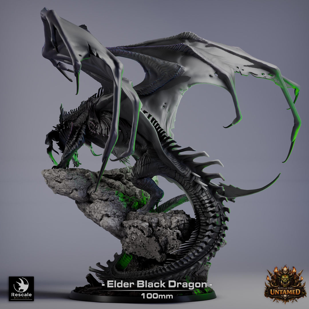 Black Dragon (4 sizes) D&amp;D 5e Unpainted Resin Miniature | 270mm Wing Span, 180mm Height | Pathfinder |