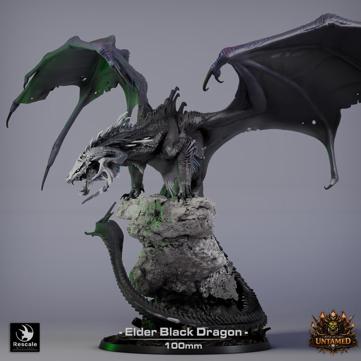 Black Dragon (4 sizes) D&amp;D 5e Unpainted Resin Miniature | 270mm Wing Span, 180mm Height | Pathfinder |