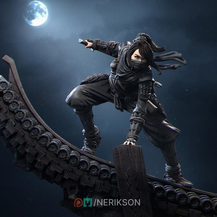 Female Ninja Rogue Shadow Monk Miniature | Head Variants | 5 Scales | Unpainted D&amp;D 5e