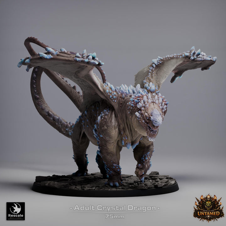 Adult Crystal Dragon UNPAINTED Miniature D&amp;D 5e Pathfinder Gem Dragon 4 Sizes