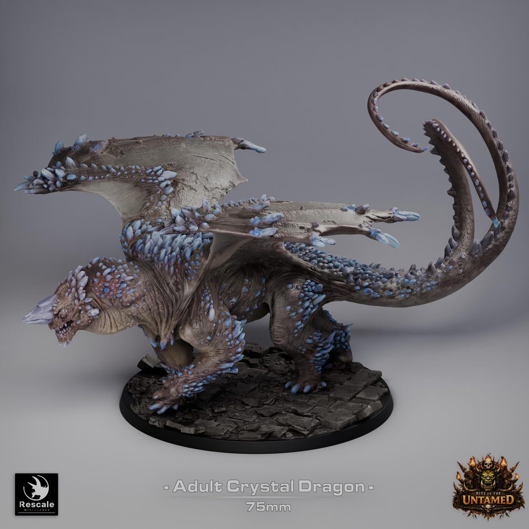 Adult Crystal Dragon UNPAINTED Miniature D&amp;D 5e Pathfinder Gem Dragon 4 Sizes