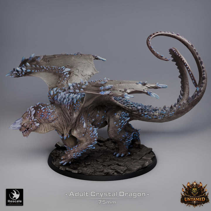 Adult Crystal Dragon UNPAINTED Miniature D&amp;D 5e Pathfinder Gem Dragon 4 Sizes