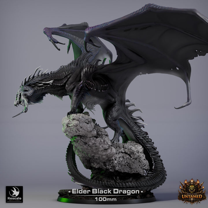 Black Dragon (4 sizes) D&amp;D 5e Unpainted Resin Miniature | 270mm Wing Span, 180mm Height | Pathfinder |