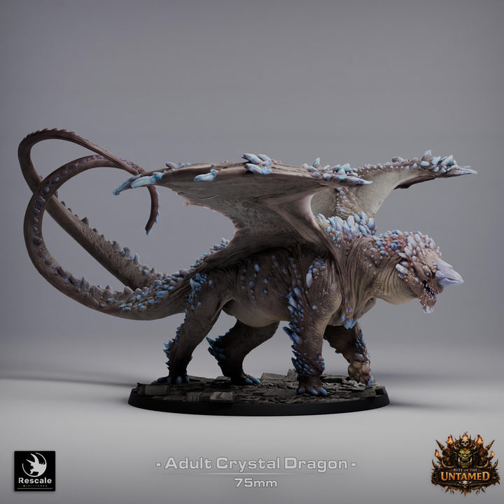 Adult Crystal Dragon UNPAINTED Miniature D&amp;D 5e Pathfinder Gem Dragon 4 Sizes