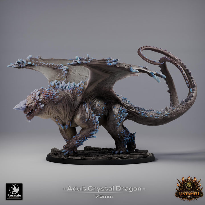 Adult Crystal Dragon UNPAINTED Miniature D&amp;D 5e Pathfinder Gem Dragon 4 Sizes