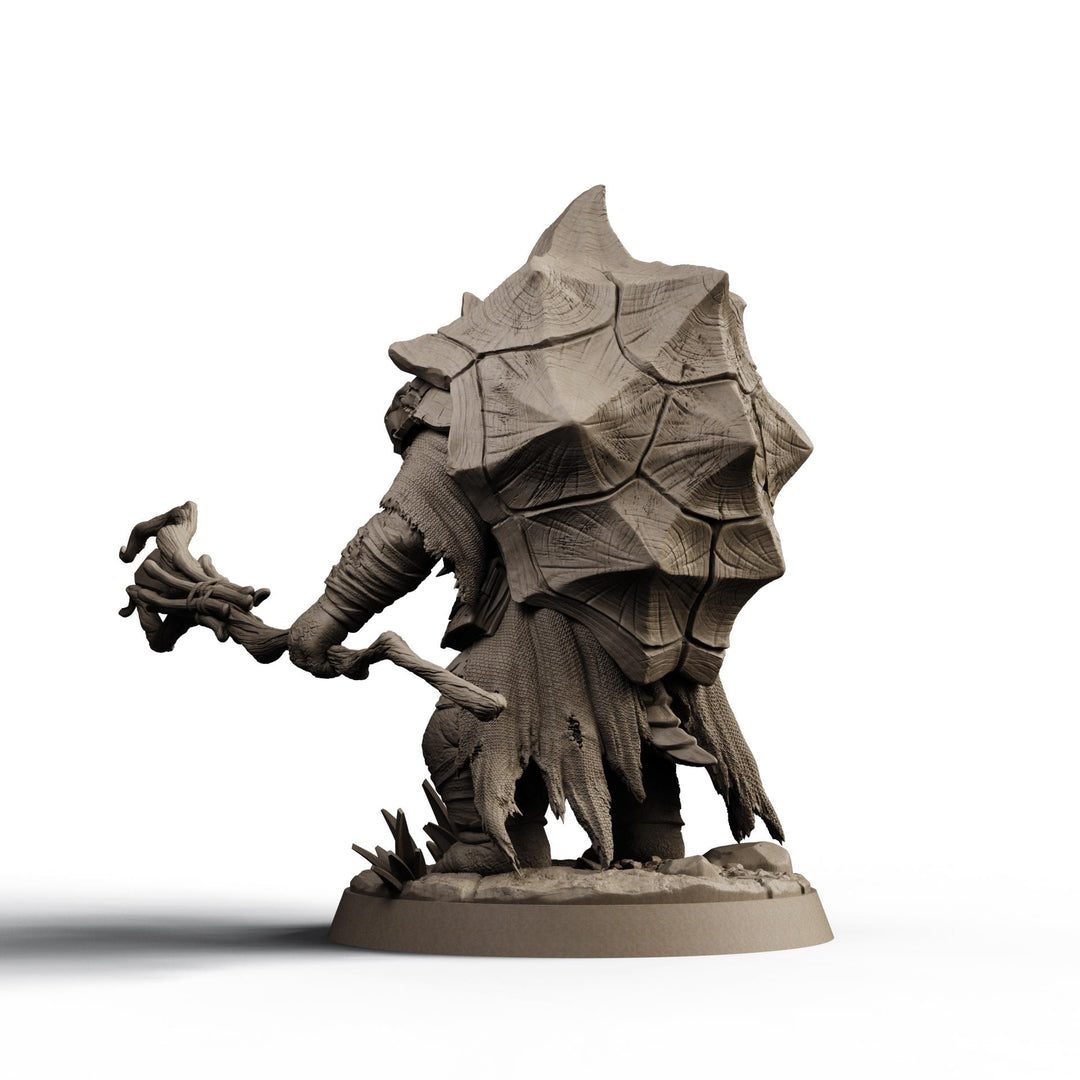 Turtlefolk Druid Miniature | Ravel Sylcarax | Resin RPG Figure