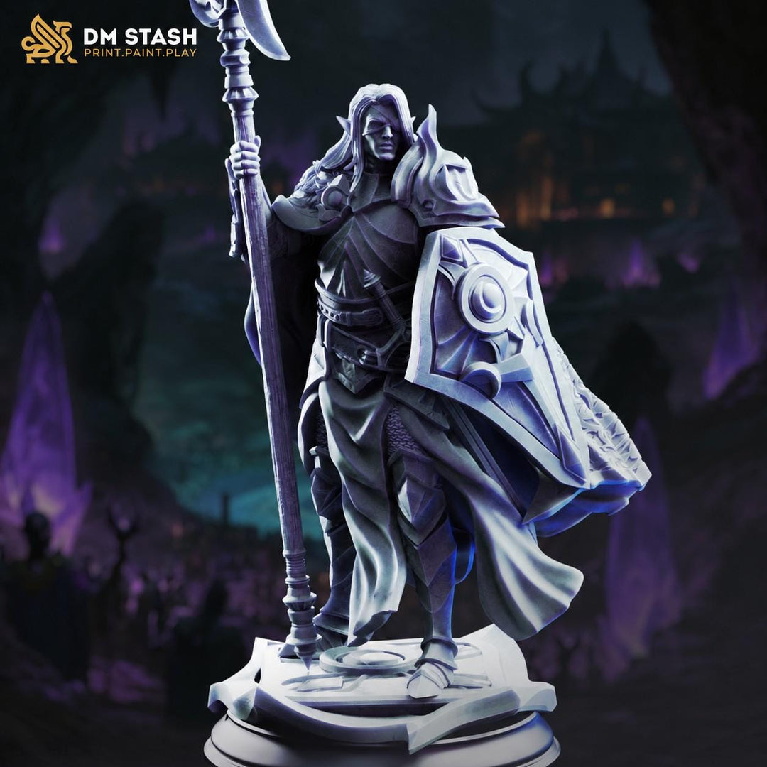 Dark Elf Miniature | Fighter Paladin Knight with Shield | UNPAINTED Resin DnD Pathfinder